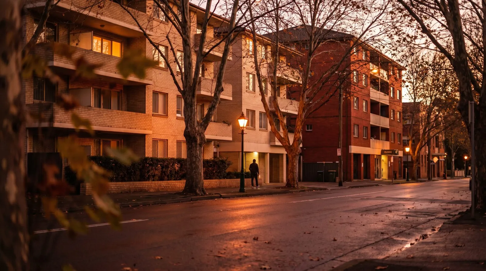 Apartment buildings behind plane trees near Strathfield station at dusk